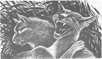 Прозрение - pic_40.jpg