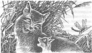 Прозрение - pic_46.jpg