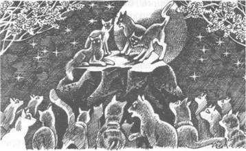 Прозрение - pic_6.jpg