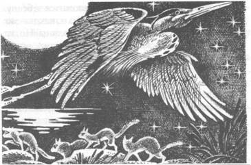 Прозрение - pic_8.jpg