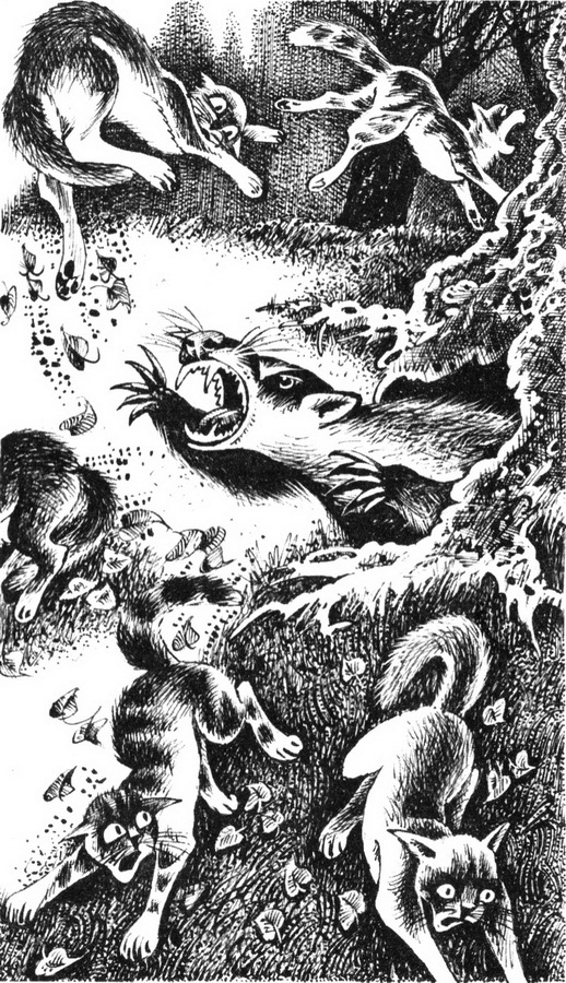 Юность Грома - pic_5.jpg