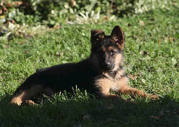 Охотник на ведьм (СИ) - _pic04.jpg