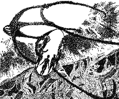 Година бика - doc2fb_image_0300001B.png