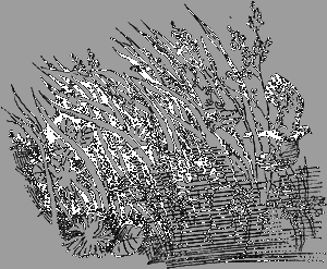 Лезвие бритвы (илл.: Н.Гришин) - i_001.png