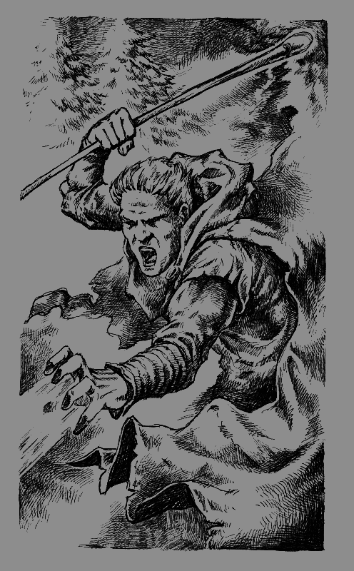 Хранитель Мечей. Странствия мага. Том 1 - i_002.png