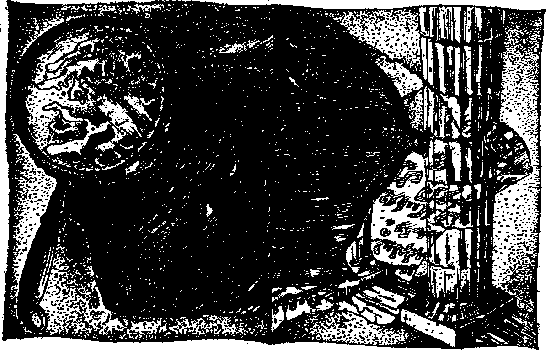 Остров пурпурной ящерицы - i_012.png