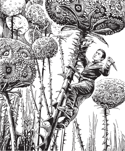 Сезон туманов. Долгий восход на Энне - _3.png