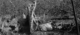 Авиация и время 2008 05 - pic_113.jpg