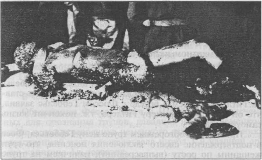 Агония и смерть Адольфа Гитлера - _3.jpg