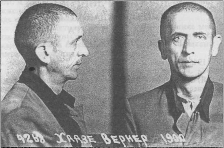 Агония и смерть Адольфа Гитлера - _12.jpg