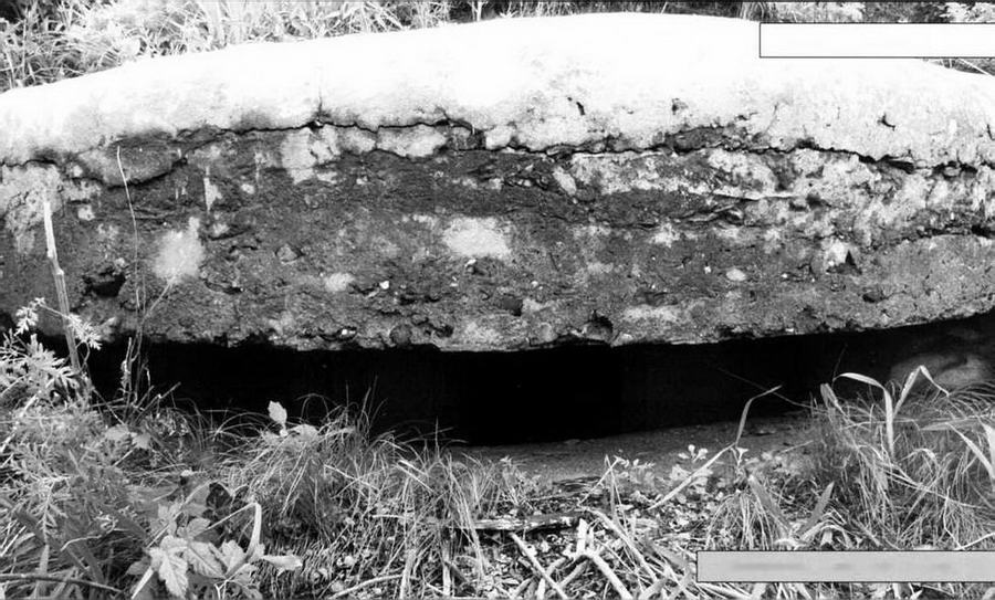 Арсенал-Коллекция 2014 № 04 (22) - _57.jpg