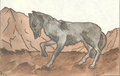 Афганские сказки - i_006.jpg