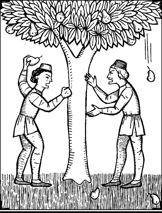 Афоризмы. Бремя страстей человеческих - i_008.png