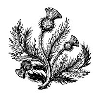 Афоризмы. Мужчина и женщина - i_005.jpg