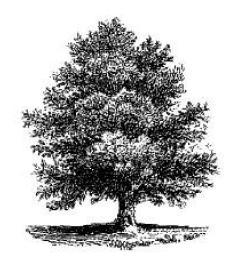 Афоризмы. Мужчина и женщина - i_018.jpg