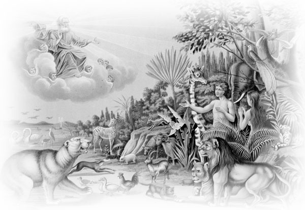 Благословите дитя. Божий дар жизни - _27.jpg