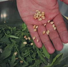 Вегетарианская кухня - salad_with_pear_and_arugula_2.jpg