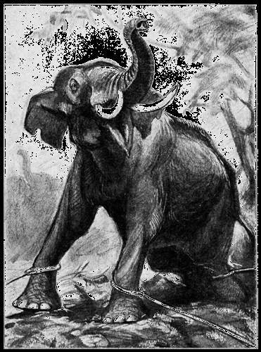 Всемирный следопыт, 1927 № 08 - _30.jpg