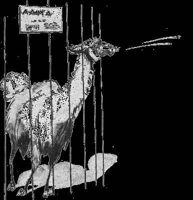 Всемирный следопыт, 1928 № 02 - _37.jpg