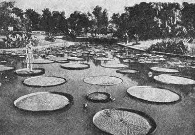 Всемирный следопыт, 1928 № 02 - _43.jpg