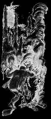 Всемирный следопыт, 1929 № 01 - _18.jpg