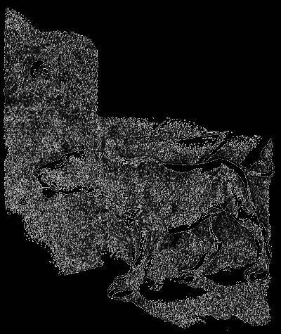 Всемирный следопыт, 1929 № 05 - _28.jpg