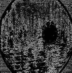 Всемирный следопыт, 1929 № 05 - _49.jpg