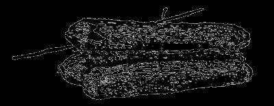 Всемирный следопыт, 1929 № 06 - _23.jpg