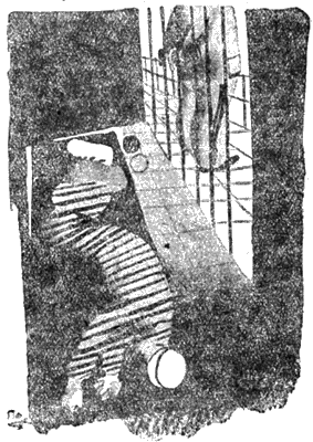 Всемирный следопыт, 1930 № 10-11 - i_033.png