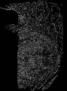 Всемирный следопыт, 1930 № 12 - _27.jpg