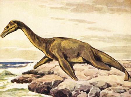 Всякая всячина 2015 №02 - _17.jpg