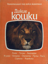 Дикие кошки - автор Коллектив авторов 