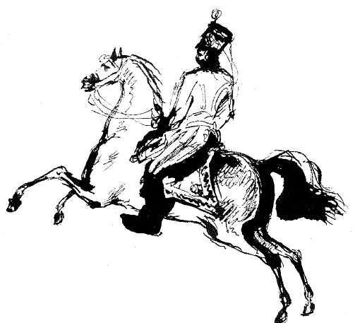 Дуэль Лермонтова и Мартынова - i_006.jpg