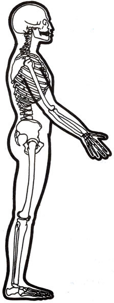 Жизнь до человека - _97.jpg