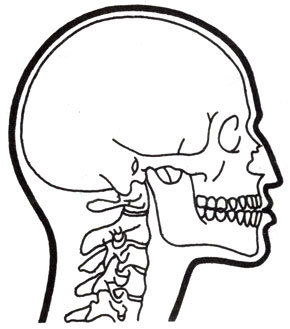 Жизнь до человека - _98.jpg