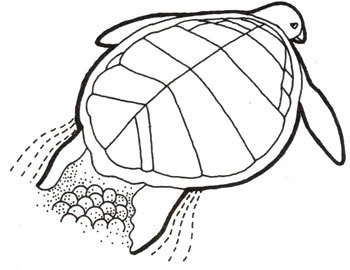 Жизнь до человека - _109.jpg