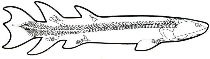 Жизнь до человека - _87.jpg