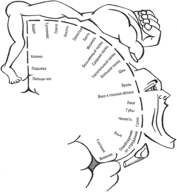 Звездные войны. Психология киновселенной - _7.png