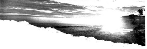 Зеленая Роза или Двенадцать вечеров - i_006.jpg