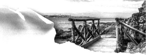 Зеленая Роза или Двенадцать вечеров - i_007.jpg