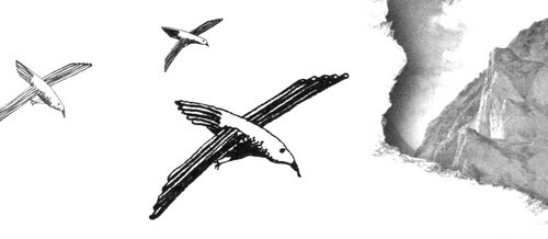 Зеленая Роза или Двенадцать вечеров - i_010.jpg