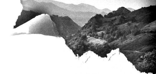 Зеленая Роза или Двенадцать вечеров - i_035.jpg