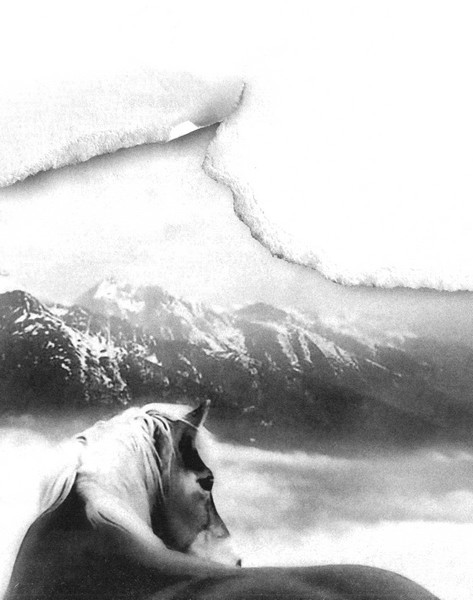 Зеленая Роза или Двенадцать вечеров - i_060.jpg