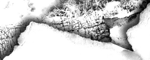 Зеленая Роза или Двенадцать вечеров - i_069.jpg