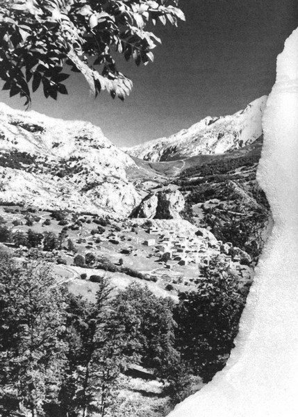 Зеленая Роза или Двенадцать вечеров - i_076.jpg