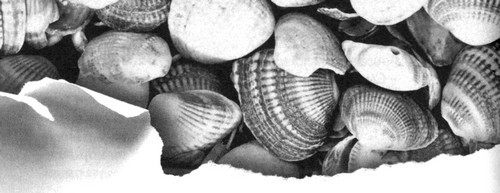 Зеленая Роза или Двенадцать вечеров - i_077.jpg