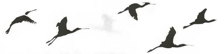 Знание-сила, 1997 № 02(836) - _51.jpg