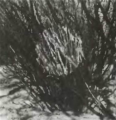 Знание-сила, 1997 № 03 (837) - _51.jpg