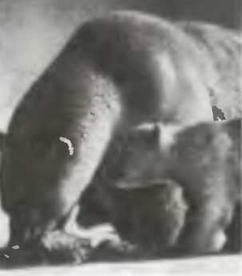 Знание-сила, 1997 № 04 (838) - _120.jpg