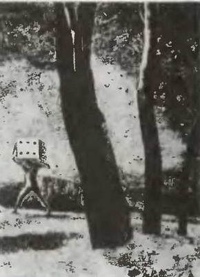 Знание-сила, 1998 № 01 (847) - _14.jpg